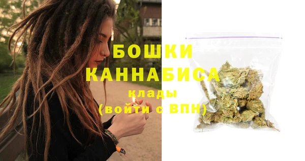 стаф Надым