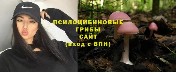 соль ск Навашино